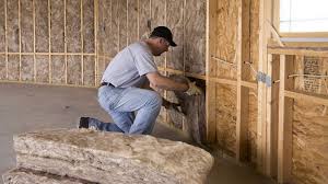 Best Wall Insulation Installation  in Pikeville, KY